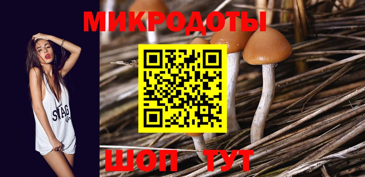 что такое   Псилоцибиновые грибы мухоморы  Вход с VPN  Снежинск 